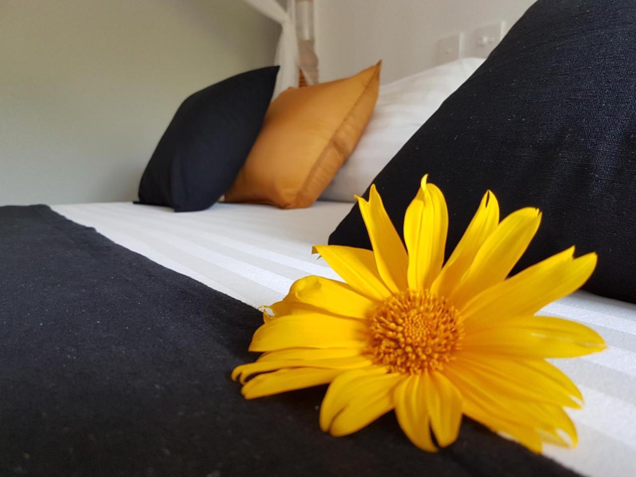 White Villa Beach Resort ميريسا المظهر الخارجي الصورة