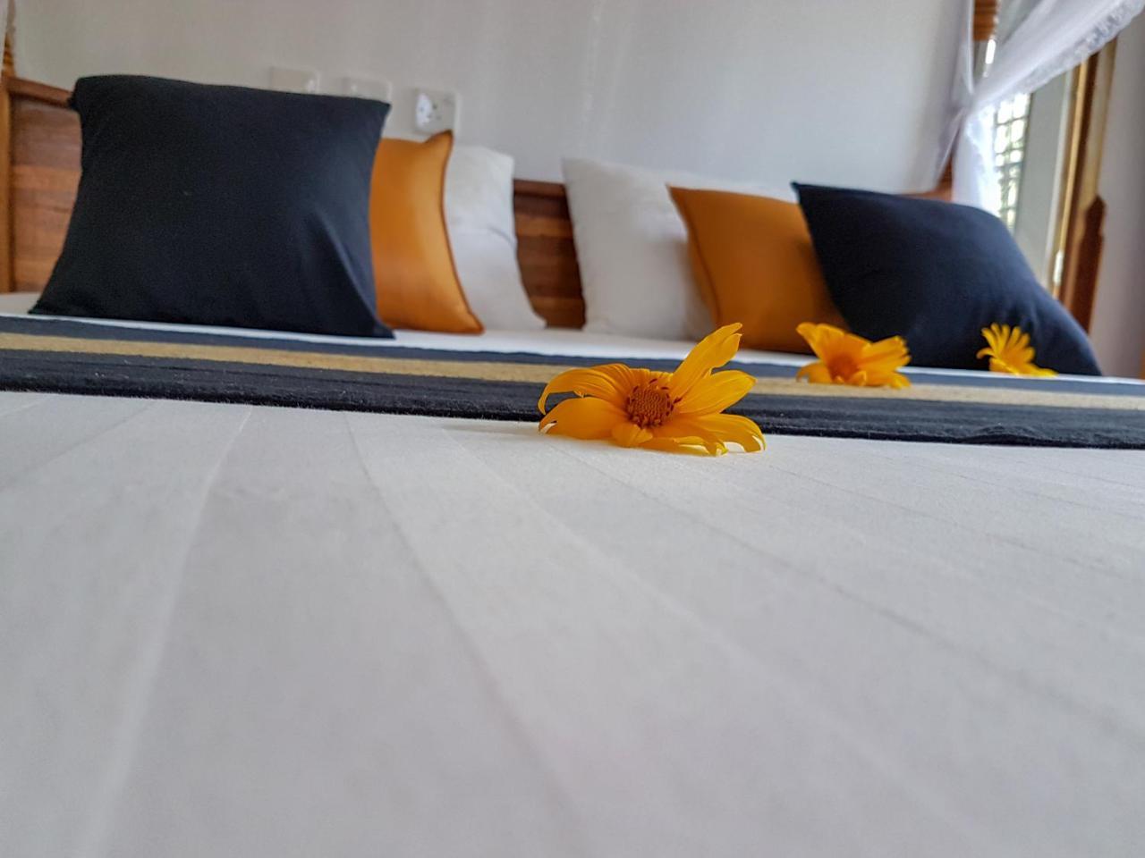 White Villa Beach Resort ميريسا المظهر الخارجي الصورة